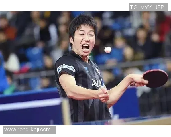 乒乓球精神：杭州乒乓球队奋斗历程的真实记录与感悟